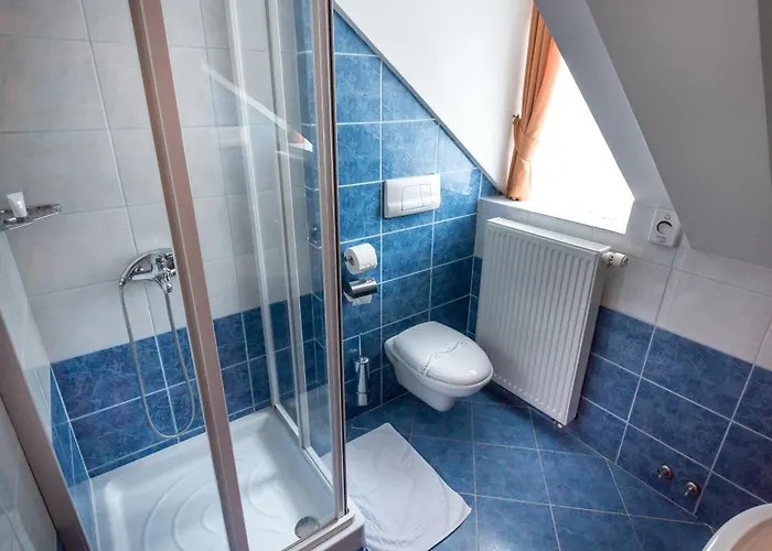 酒店 In Restavracija Pod Roglo 茨热塞